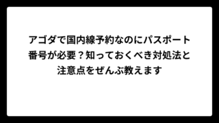 アゴダで国内線予約なのにパスポート番号が必要？知っておくべき対処法と注意点をぜんぶ教えます