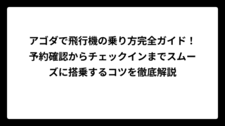 アゴダで飛行機の乗り方完全ガイド！予約確認からチェックインまでスムーズに搭乗するコツを徹底解説