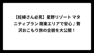 【妊婦さん必見】星野リゾート マタニティプラン 関東エリアで安心♪贅沢おこもり旅の全貌を大公開！