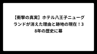 【衝撃の真実】ホテル八王子ニューグランドが消えた理由と跡地の現在！38年の歴史に幕