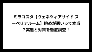 ミラコスタ【ヴェネツィアサイド スーペリアルーム】眺めが悪いって本当？実態と対策を徹底調査！