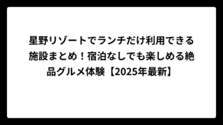 星野リゾートでランチだけ利用できる施設まとめ！宿泊なしでも楽しめる絶品グルメ体験【2025年最新】