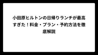 小田原ヒルトンの日帰りランチが最高すぎた！料金・プラン・予約方法を徹底解説