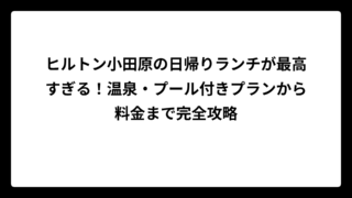ヒルトン小田原の日帰りランチが最高すぎる！温泉・プール付きプランから料金まで完全攻略