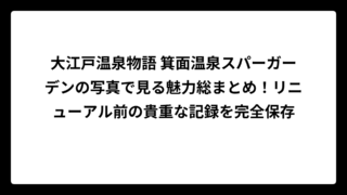 大江戸温泉物語 箕面温泉スパーガーデンの写真で見る魅力総まとめ！リニューアル前の貴重な記録を完全保存