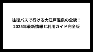 往復バスで行ける大江戸温泉の全貌！2025年最新情報と利用ガイド完全版