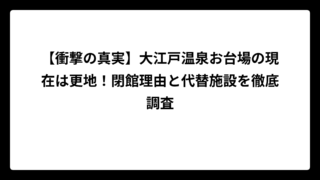 【衝撃の真実】大江戸温泉お台場の現在は更地！閉館理由と代替施設を徹底調査