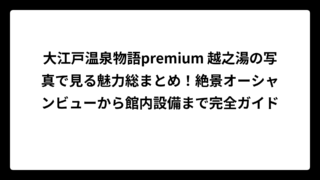 大江戸温泉物語premium 越之湯の写真で見る魅力総まとめ！絶景オーシャンビューから館内設備まで完全ガイド