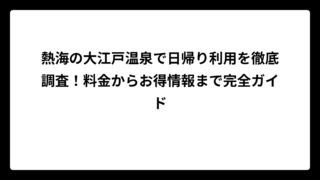 熱海の大江戸温泉で日帰り利用を徹底調査！料金からお得情報まで完全ガイド