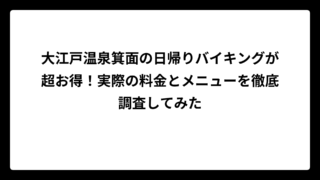 大江戸温泉箕面の日帰りバイキングが超お得！実際の料金とメニューを徹底調査してみた