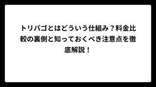 トリバゴとはどういう仕組み？料金比較の裏側と知っておくべき注意点を徹底解説！