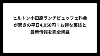 ヒルトン小田原ランチビュッフェ料金が驚きの平日4,950円！お得な裏技と最新情報を完全網羅