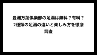 豊洲万葉倶楽部の足湯は無料？有料？2種類の足湯の違いと楽しみ方を徹底調査