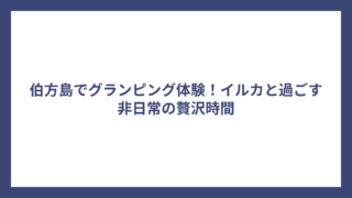 伯方島でグランピング体験！イルカと過ごす非日常の贅沢時間