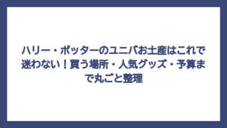 ハリー・ポッターのユニバお土産はこれで迷わない！買う場所・人気グッズ・予算まで丸ごと整理