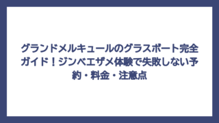 グランドメルキュールのグラスボート完全ガイド！ジンベエザメ体験で失敗しない予約・料金・注意点