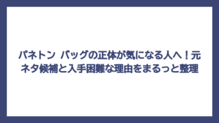 パネトン バッグの正体が気になる人へ！元ネタ候補と入手困難な理由をまるっと整理