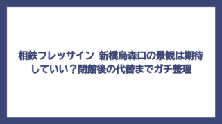 相鉄フレッサイン 新橋烏森口の景観は期待していい？閉館後の代替までガチ整理
