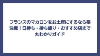 フランスのマカロンをお土産にするなら要注意！日持ち・持ち帰り・おすすめ店まで丸わかりガイド