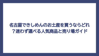 名古屋できしめんのお土産を買うならどれ？迷わず選べる人気商品と売り場ガイド