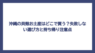 沖縄の貝殻お土産はどこで買う？失敗しない選び方と持ち帰り注意点