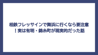 相鉄フレッサインで舞浜に行くなら要注意！実は有明・錦糸町が現実的だった話