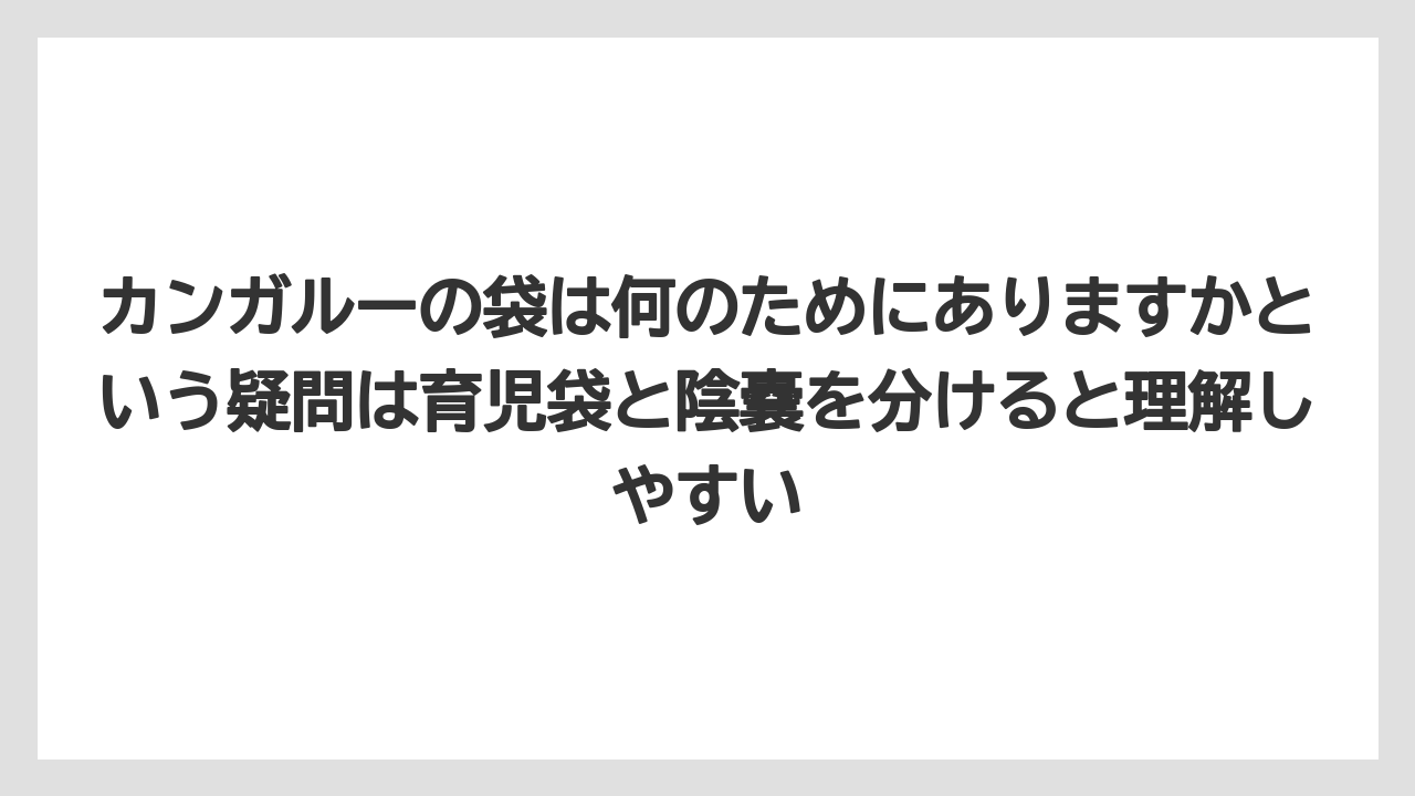 【リゾート】【宿泊】【旅】カンガルーの袋は何のためにありますかという疑問は育児袋と陰嚢を分けると理解しやすい