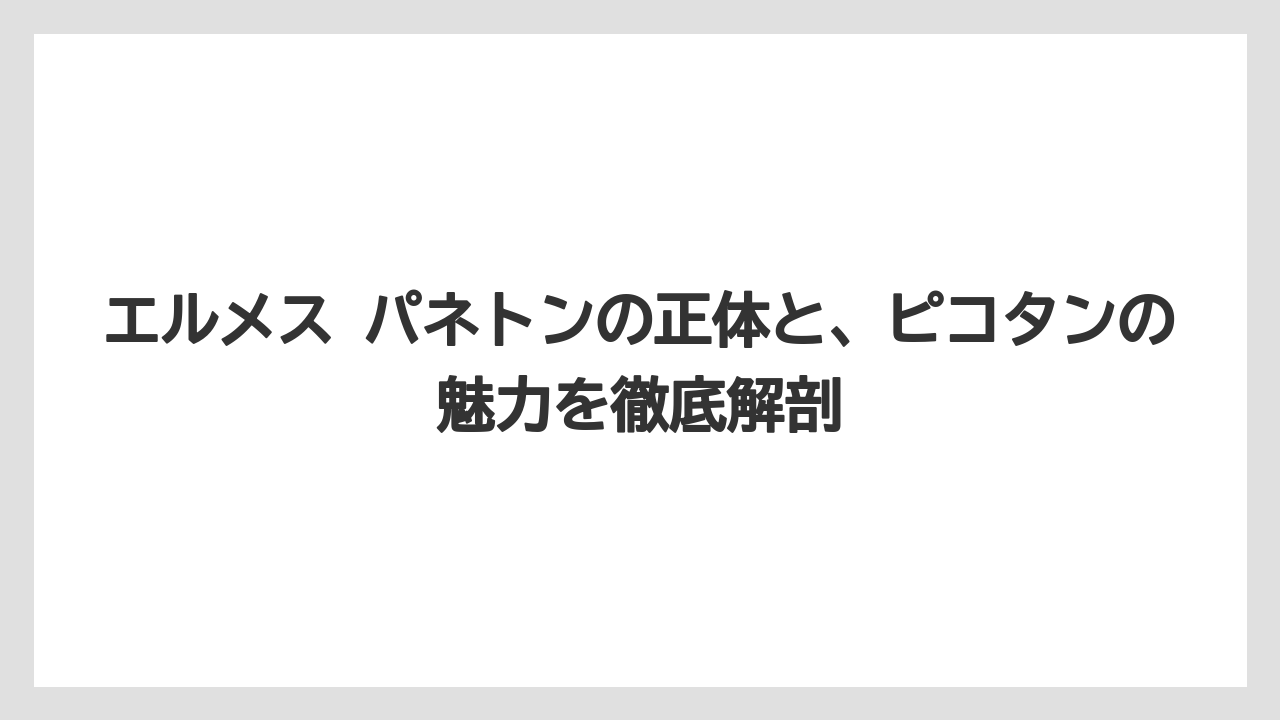 エルメス パネトンの正体と、ピコタンの魅力を徹底解剖