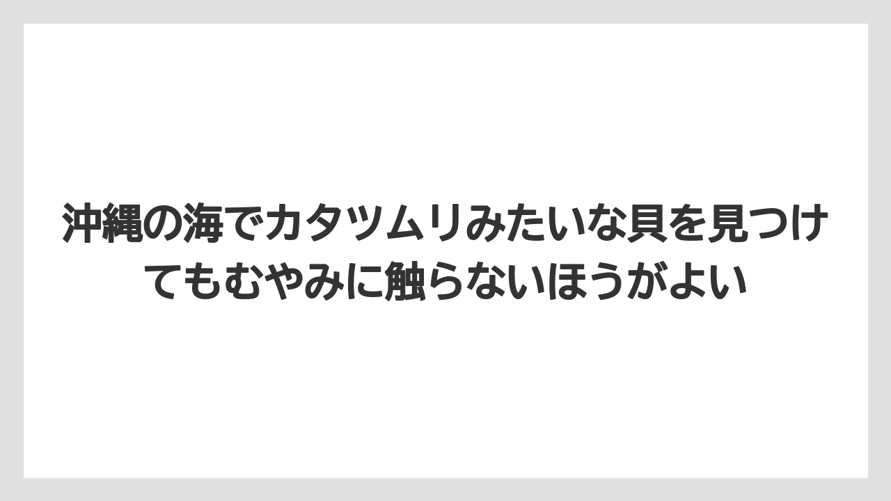 【リゾート】【宿泊】【旅】沖縄の海でカタツムリみたいな貝を見つけてもむやみに触らないほうがよい