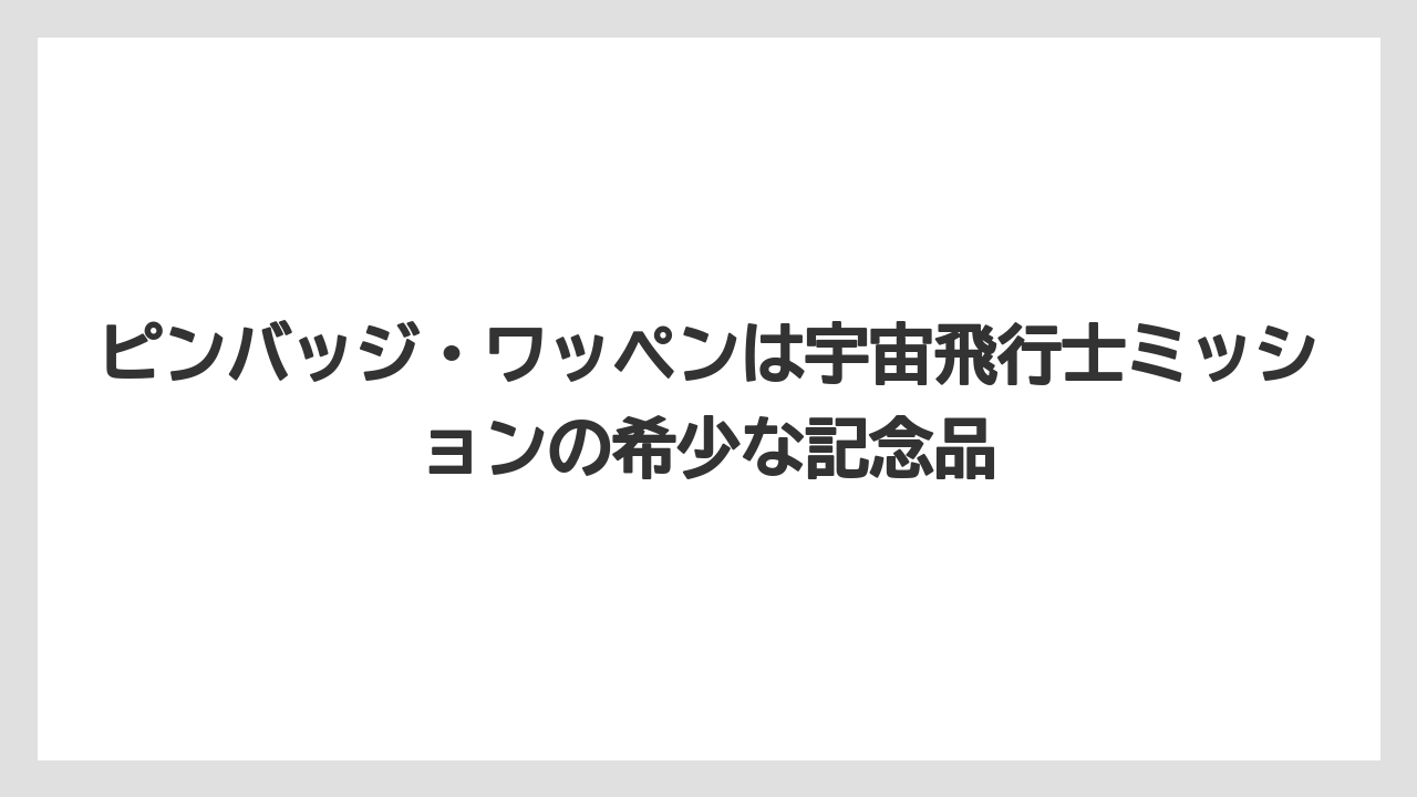 【リゾート】【宿泊】【旅】ピンバッジ・ワッペンは宇宙飛行士ミッションの希少な記念品