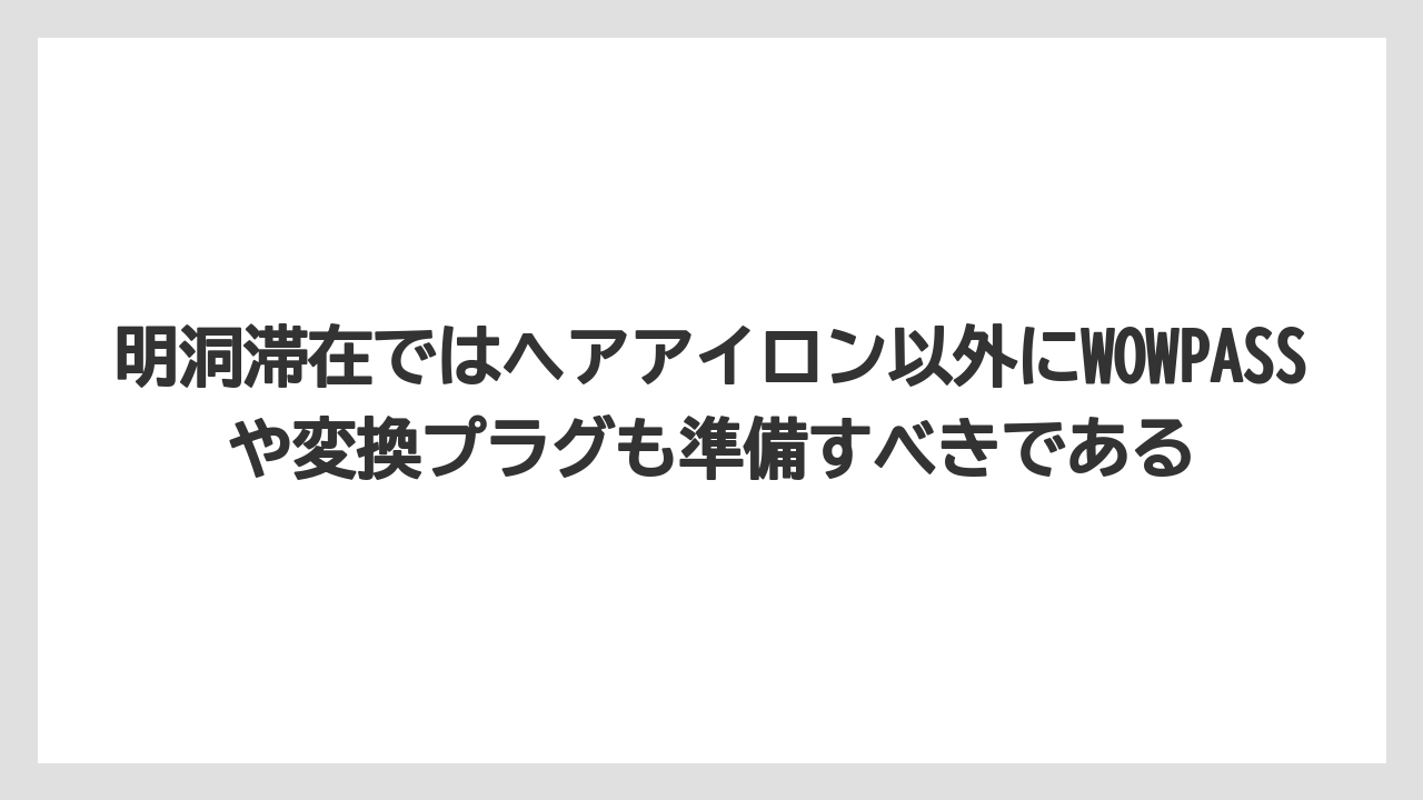 【リゾート】【宿泊】【旅】明洞滞在ではヘアアイロン以外にWOWPASSや変換プラグも準備すべきである