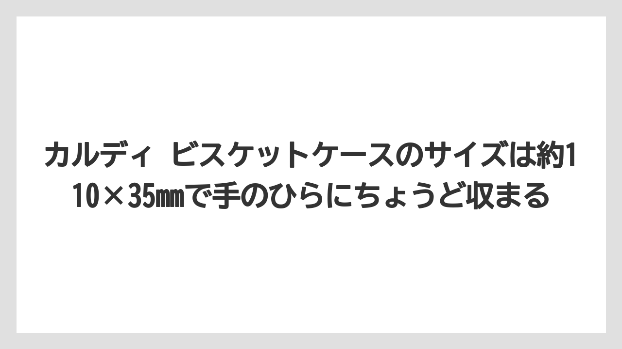 【リゾート】【宿泊】【旅】カルディ ビスケットケースのサイズは約110×35mmで手のひらにちょうど収まる