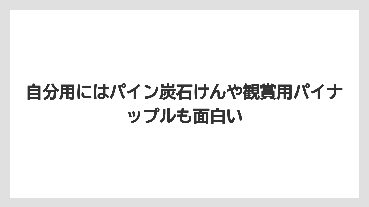 【リゾート】【宿泊】【旅】自分用にはパイン炭石けんや観賞用パイナップルも面白い