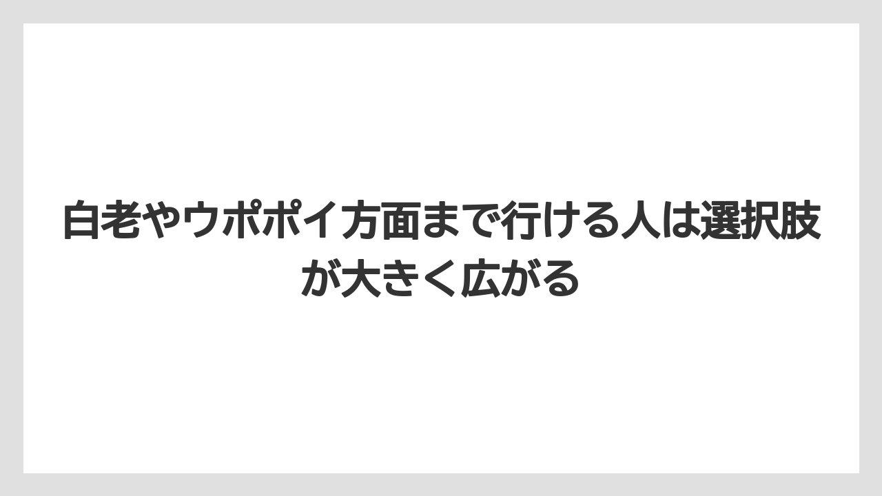 【リゾート】【宿泊】【旅】白老やウポポイ方面まで行ける人は選択肢が大きく広がる