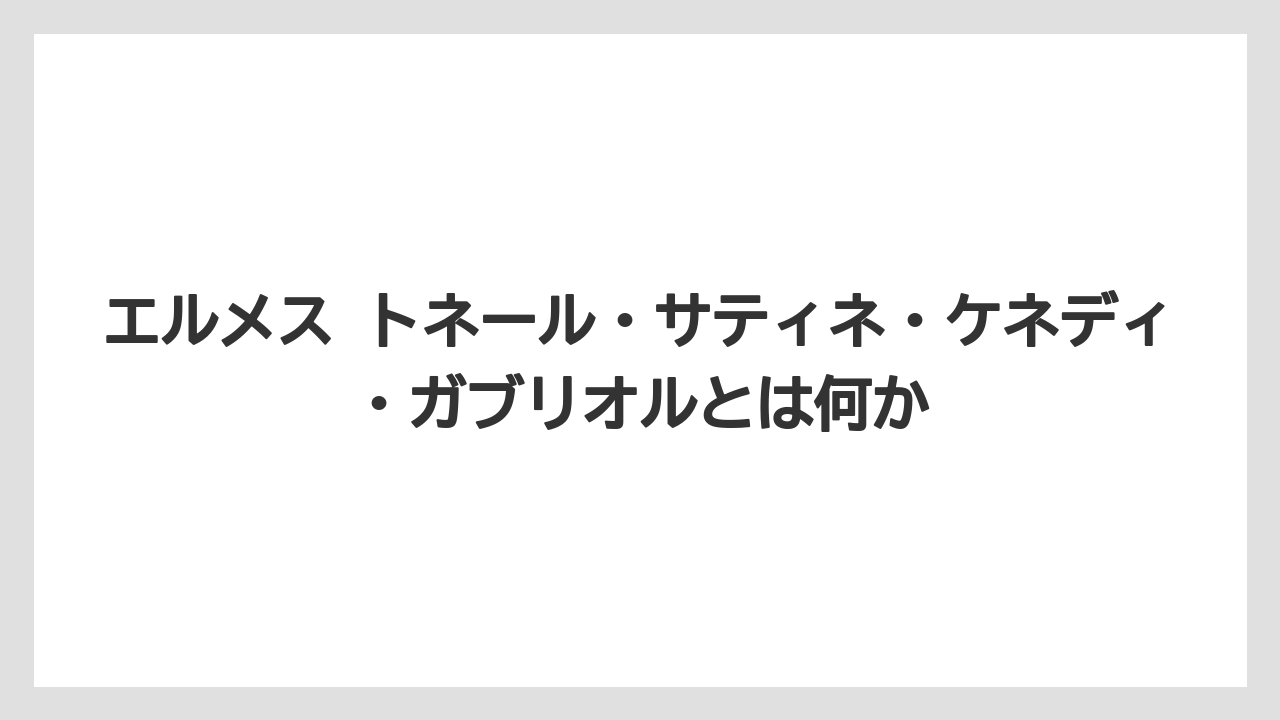 【リゾート】【宿泊】【旅】エルメス トネール・サティネ・ケネディ・ガブリオルとは何か