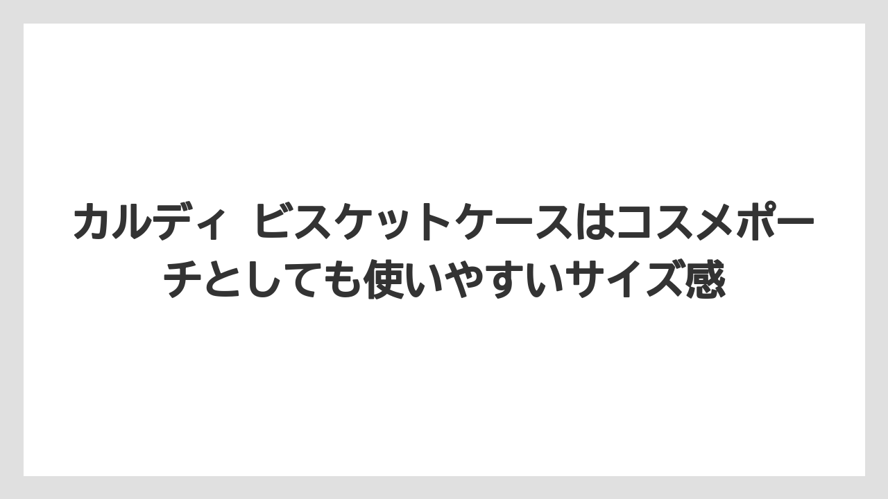 【リゾート】【宿泊】【旅】カルディ ビスケットケースはコスメポーチとしても使いやすいサイズ感