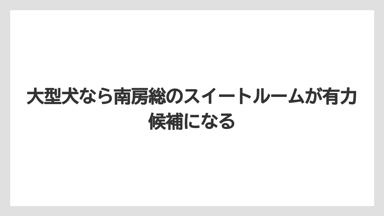 【リゾート】【宿泊】【旅】大型犬なら南房総のスイートルームが有力候補になる