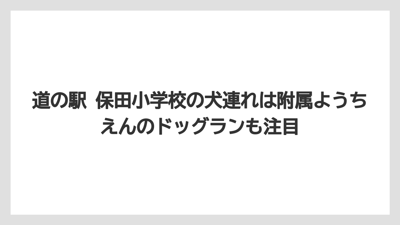 【リゾート】【宿泊】【旅】道の駅 保田小学校の犬連れは附属ようちえんのドッグランも注目