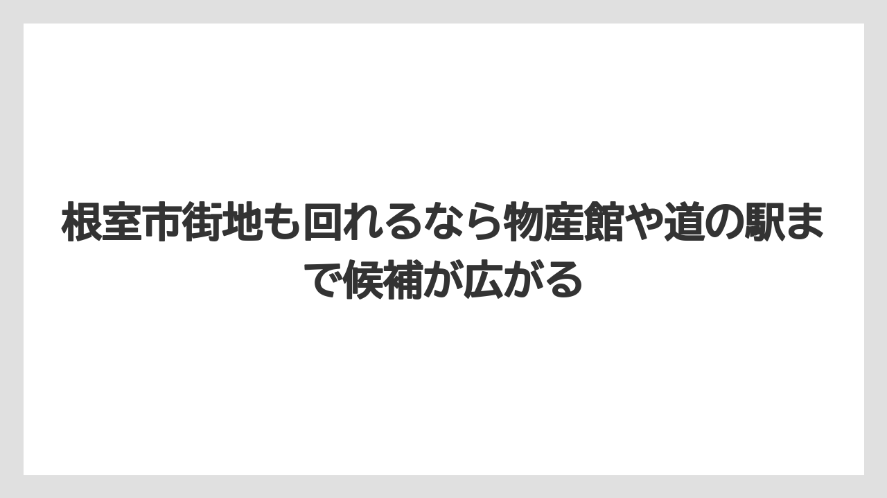 【リゾート】【宿泊】【旅】根室市街地も回れるなら物産館や道の駅まで候補が広がる