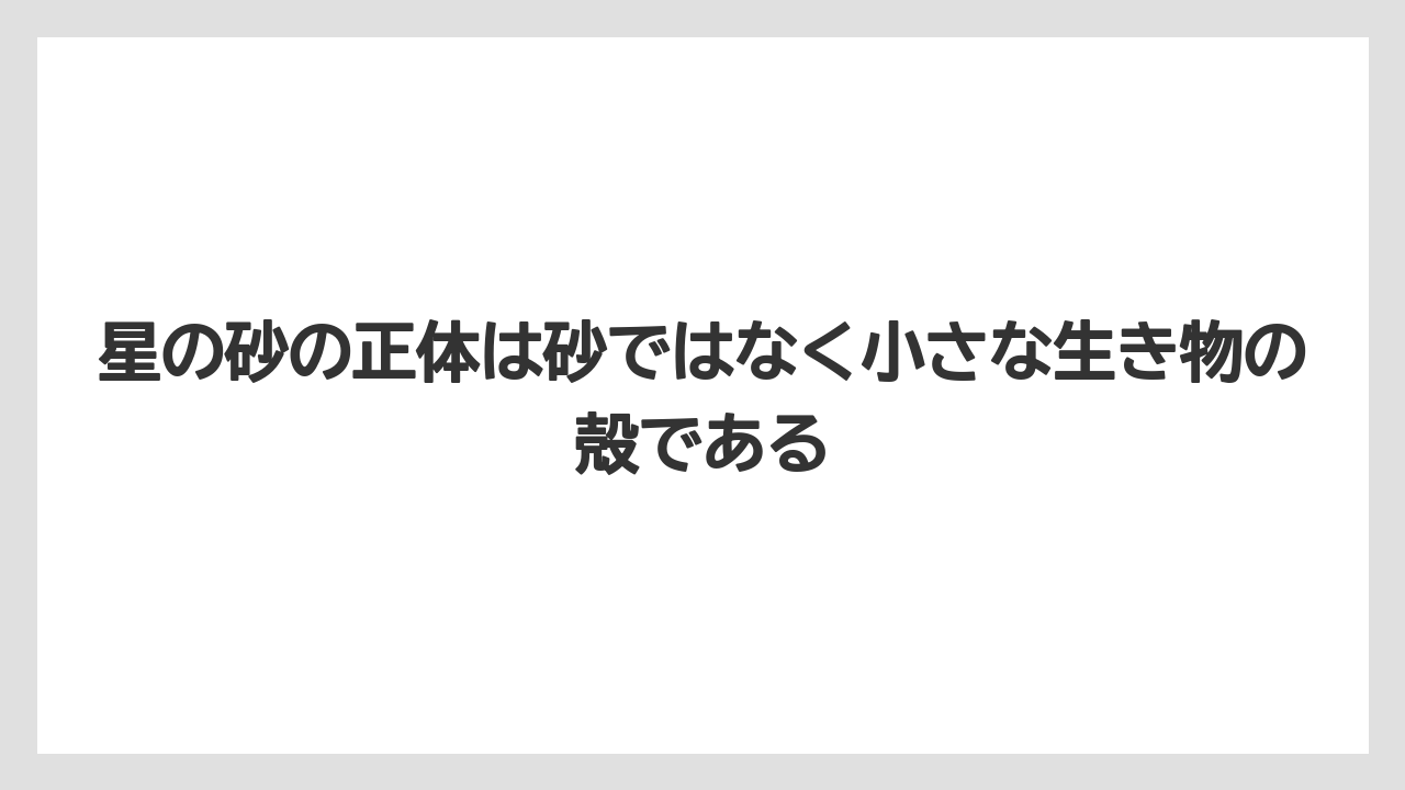 【リゾート】【宿泊】【旅】星の砂の正体は砂ではなく小さな生き物の殻である