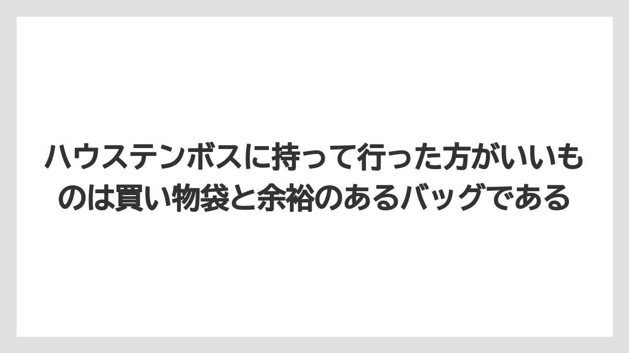 【リゾート】【宿泊】【旅】ハウステンボスに持って行った方がいいものは買い物袋と余裕のあるバッグである