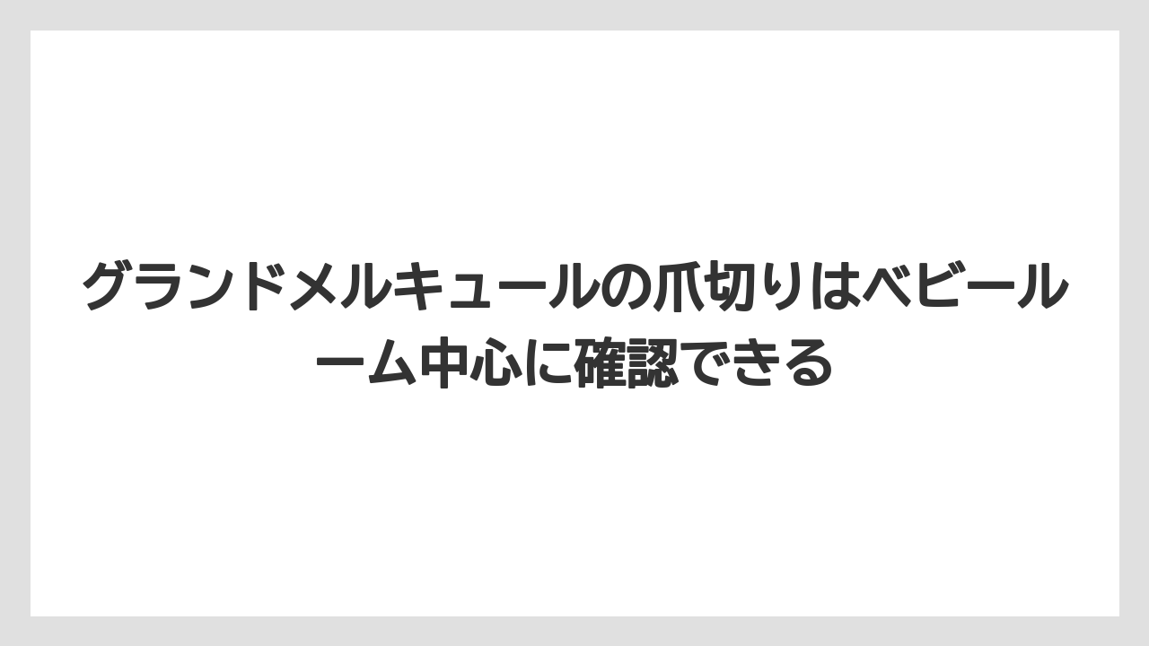 【リゾート】【宿泊】【旅】グランドメルキュールの爪切りはベビールーム中心に確認できる