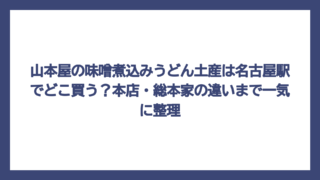 山本屋の味噌煮込みうどん土産は名古屋駅でどこ買う？本店・総本家の違いまで一気に整理