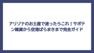 アリゾナのお土産で迷ったらこれ！サボテン雑貨から空港ばらまきまで完全ガイド