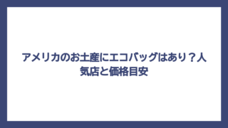 アメリカのお土産にエコバッグはあり？人気店と価格目安