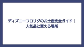 ディズニーフロリダのお土産完全ガイド｜人気品と買える場所