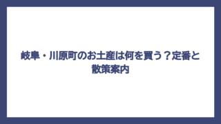 岐阜・川原町のお土産は何を買う？定番と散策案内