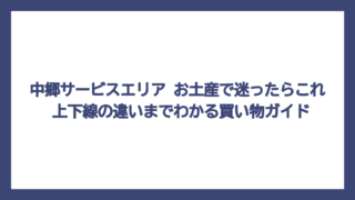 中郷サービスエリア お土産で迷ったらこれ　上下線の違いまでわかる買い物ガイド