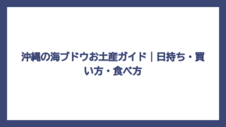 沖縄の海ブドウお土産ガイド｜日持ち・買い方・食べ方