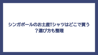 シンガポールのお土産Tシャツはどこで買う？選び方も整理